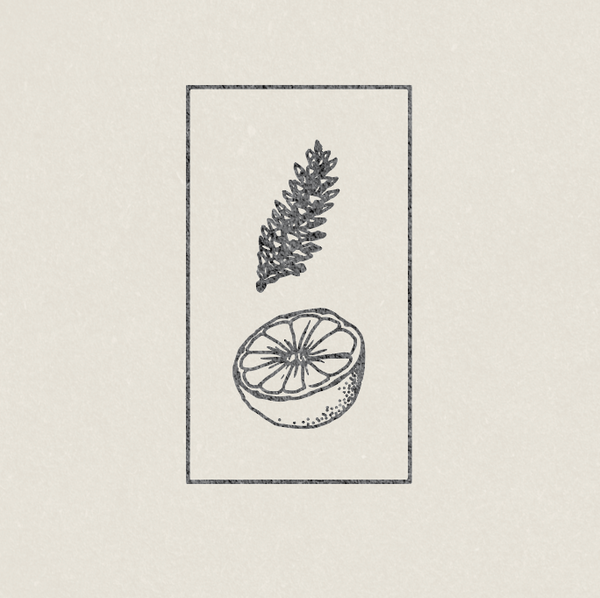 Grapefruit + Pine - 14 oz  Boxed Candle