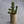 Hasami Planter Glossy Grey - Small