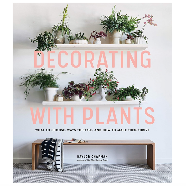 Decorating  With Plants