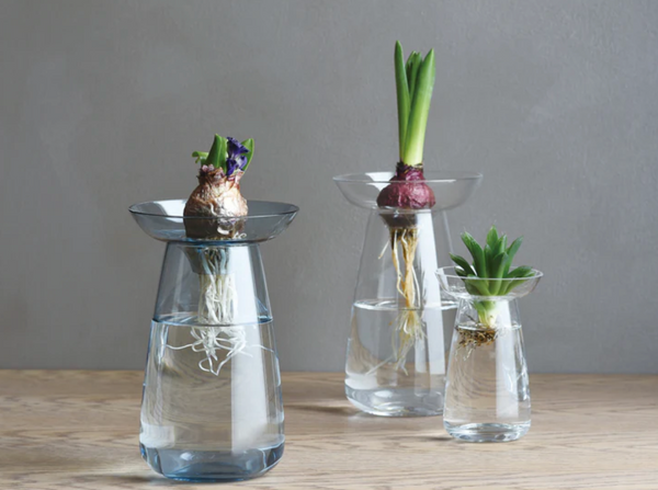 Aqua Culture Vase by Kinto