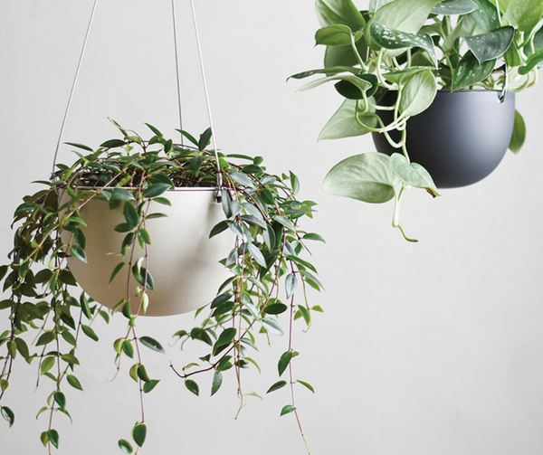 Hanging Plant Pot - Kinto
